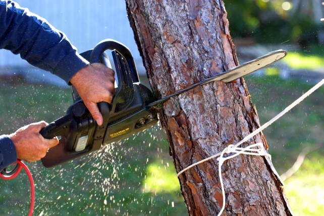 ahs-tree-removal-service